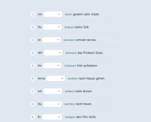 Screenshot Grammatikübungen